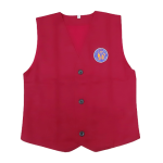 Vest 2